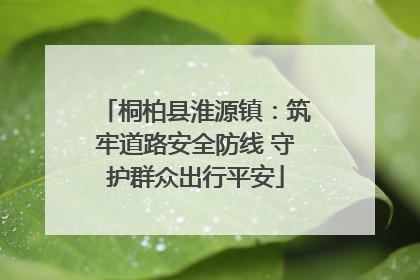 桐柏县淮源镇：筑牢道路安全防线 守护群众出行平安