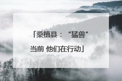 桑植县：“猛兽”当前 他们在行动