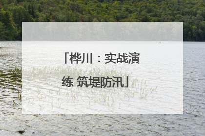 桦川：实战演练 筑堤防汛