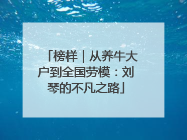 榜样｜从养牛大户到全国劳模：刘琴的不凡之路
