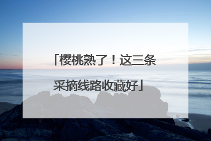 樱桃熟了！这三条采摘线路收藏好