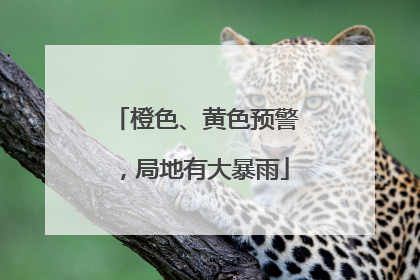 橙色、黄色预警，局地有大暴雨