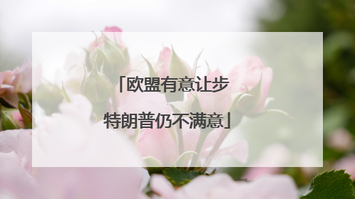欧盟有意让步 特朗普仍不满意