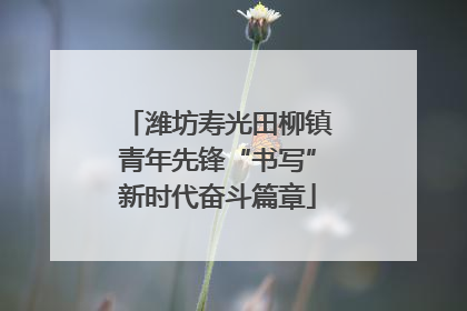 潍坊寿光田柳镇青年先锋“书写”新时代奋斗篇章