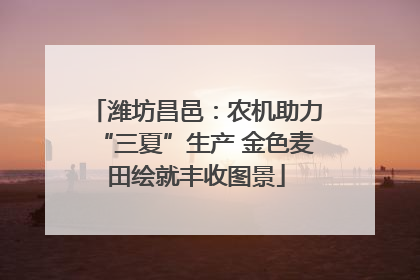 潍坊昌邑：农机助力“三夏”生产 金色麦田绘就丰收图景
