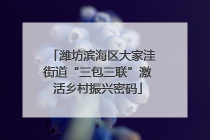 潍坊滨海区大家洼街道“三包三联”激活乡村振兴密码