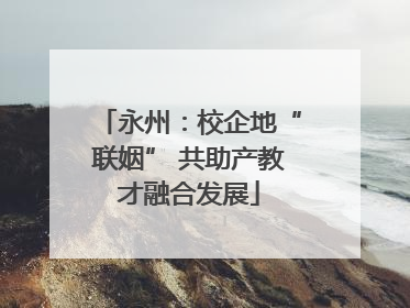 永州：校企地“联姻” 共助产教才融合发展