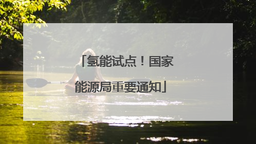 氢能试点！国家能源局重要通知