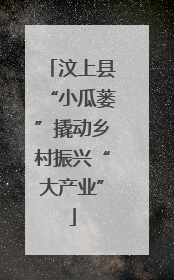 汶上县“小瓜蒌”撬动乡村振兴“大产业”