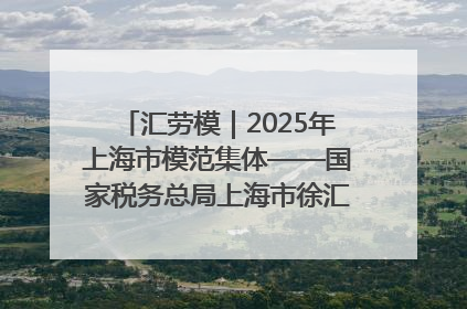汇劳模｜2025年上海市模范集体——国家税务总局上海市徐汇区税务局第一税务所
