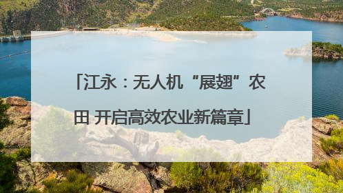 江永：无人机“展翅”农田 开启高效农业新篇章