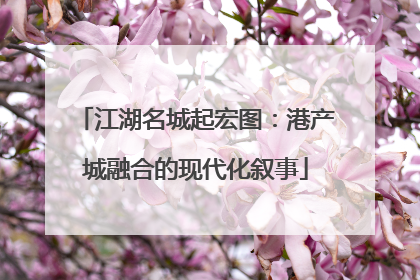 江湖名城起宏图：港产城融合的现代化叙事