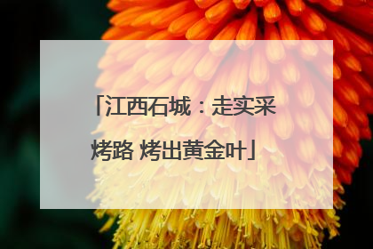 江西石城：走实采烤路 烤出黄金叶