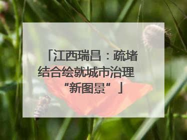 江西瑞昌：疏堵结合绘就城市治理“新图景”