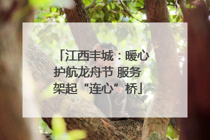江西丰城：暖心护航龙舟节 服务架起“连心”桥