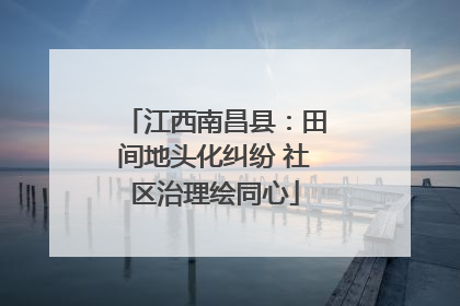 江西南昌县：田间地头化纠纷 社区治理绘同心