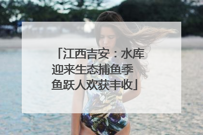 江西吉安：水库迎来生态捕鱼季 鱼跃人欢获丰收