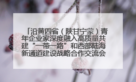 沿黄四省（陕甘宁蒙）青年企业家深度融入高质量共建“一带一路”和西部陆海新通道建设战略合作交流会在甘肃兰州召开