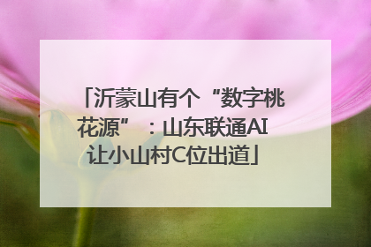 沂蒙山有个“数字桃花源”：山东联通AI让小山村C位出道