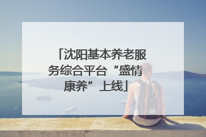 沈阳基本养老服务综合平台“盛情康养”上线