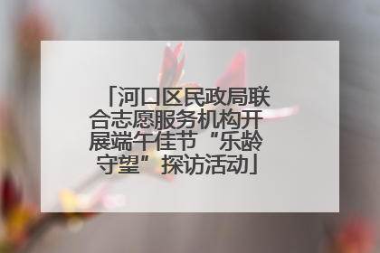 河口区民政局联合志愿服务机构开展端午佳节“乐龄守望”探访活动