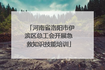 河南省洛阳市伊滨区总工会开展急救知识技能培训