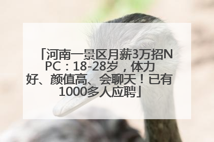 河南一景区月薪3万招NPC：18-28岁，体力好、颜值高、会聊天！已有1000多人应聘