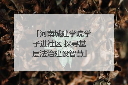 河南城建学院学子进社区 探寻基层法治建设智慧