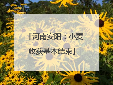 河南安阳：小麦收获基本结束