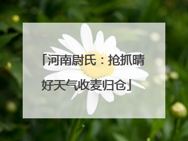 河南尉氏：抢抓晴好天气收麦归仓