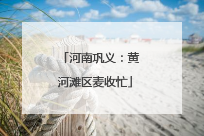 河南巩义：黄河滩区麦收忙