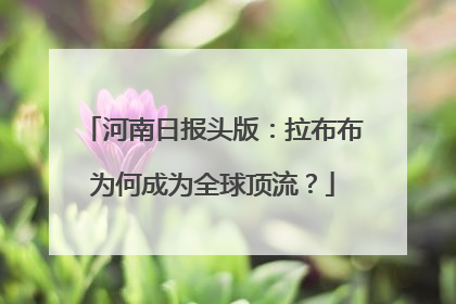 河南日报头版：拉布布为何成为全球顶流？