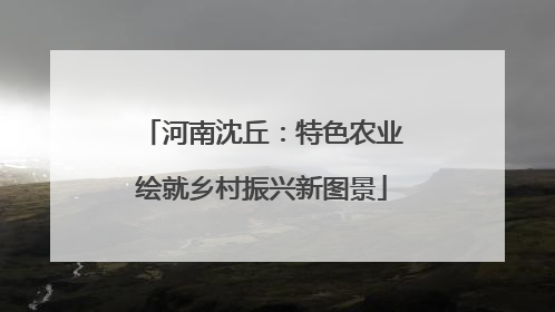 河南沈丘：特色农业绘就乡村振兴新图景