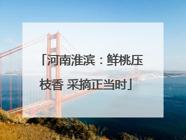 河南淮滨：鲜桃压枝香 采摘正当时