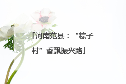 河南范县：“粽子村”香飘振兴路