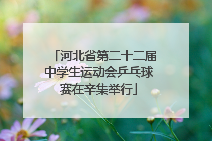 河北省第二十二届中学生运动会乒乓球赛在辛集举行