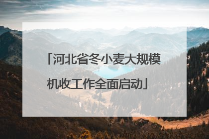 河北省冬小麦大规模机收工作全面启动