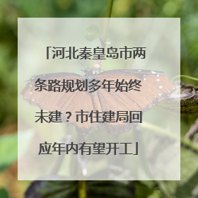 河北秦皇岛市两条路规划多年始终未建？市住建局回应年内有望开工