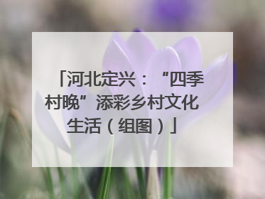 河北定兴：“四季村晚”添彩乡村文化生活（组图）