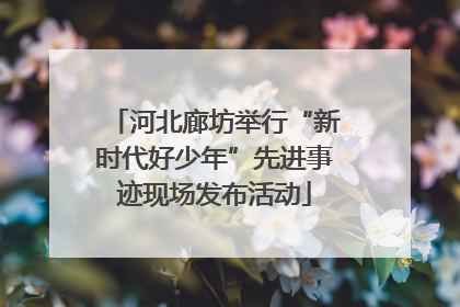 河北廊坊举行“新时代好少年”先进事迹现场发布活动
