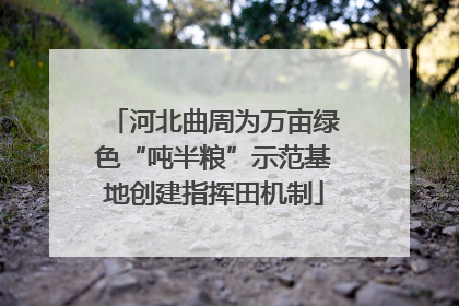 河北曲周为万亩绿色“吨半粮”示范基地创建指挥田机制