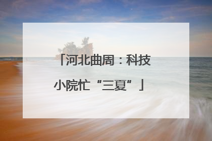 河北曲周：科技小院忙“三夏”