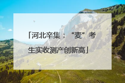 河北辛集：“麦”考生实收测产创新高