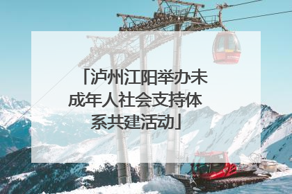 泸州江阳举办未成年人社会支持体系共建活动