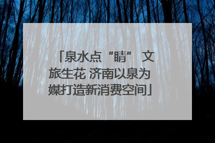 泉水点“睛” 文旅生花 济南以泉为媒打造新消费空间