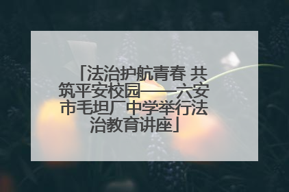 法治护航青春 共筑平安校园——六安市毛坦厂中学举行法治教育讲座