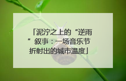泥泞之上的“逆雨”叙事：一场音乐节折射出的城市温度