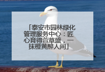 泰安市园林绿化管理服务中心：匠心育得萱草盛，一抹橙黄醉人间