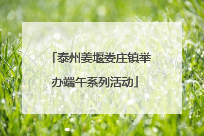 泰州姜堰娄庄镇举办端午系列活动