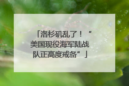 洛杉矶乱了！“美国现役海军陆战队正高度戒备”